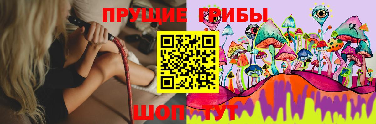 Псилоцибиновые грибы Psilocybine cubensis  Псилоцибиновые грибы GOLDEN TEACHER  Вход с VPN  Сердобск 