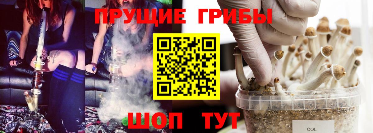 Псилоцибиновые грибы GOLDEN TEACHER Сердобск